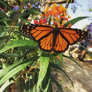 Meet your Posher, Tessa